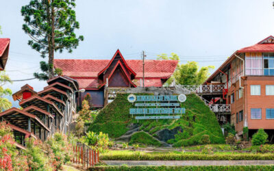 Kinabalu Park Sabah: Complete Guide for Tourists 2025