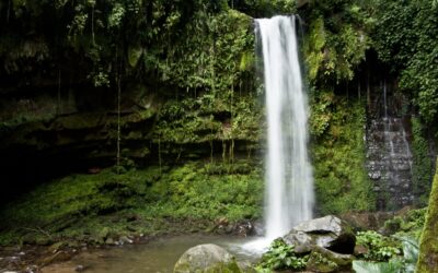 Mahua Waterfall Tambunan Sabah | Complete Travel Guide
