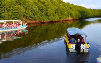 Kinabatangan River Cruise: Complete Guide to Borneo’s Best Wildlife Safari